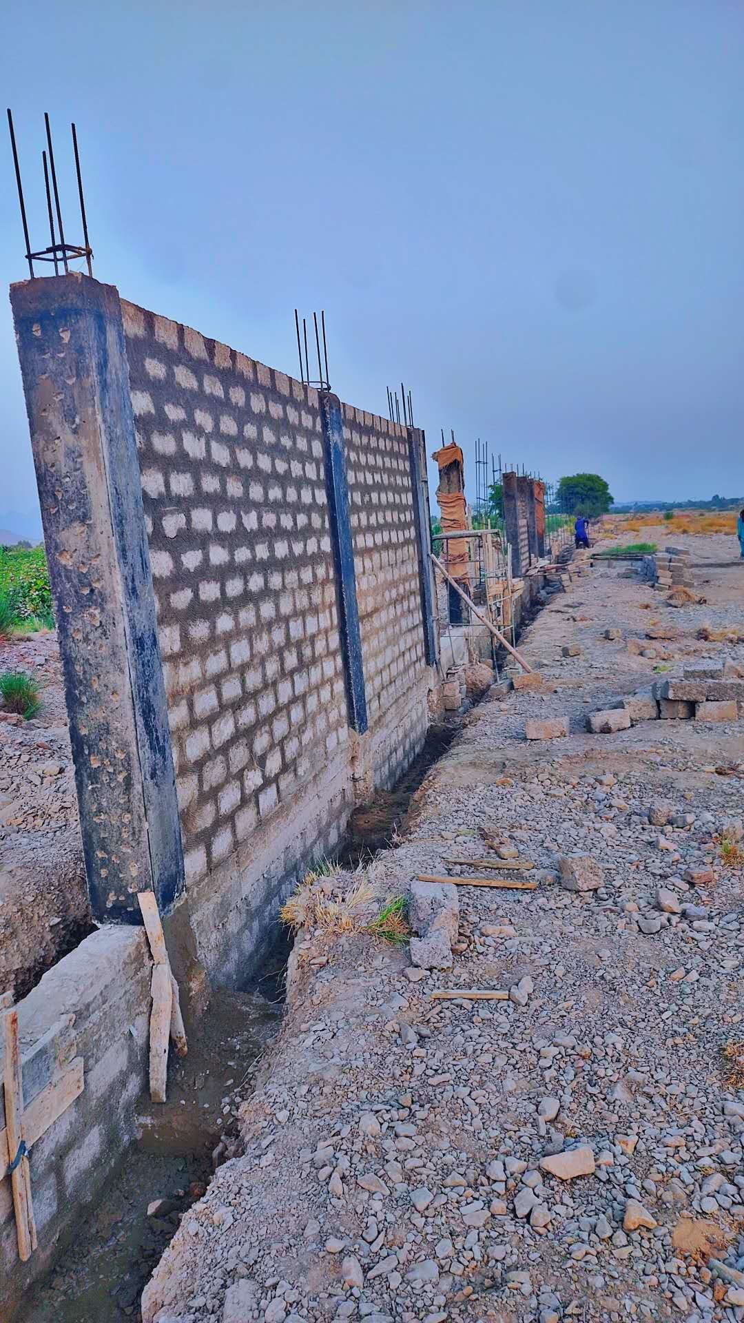Reinforced columns along the foundation
